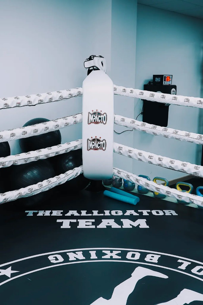 Ring de boxeo en The Alligator Team